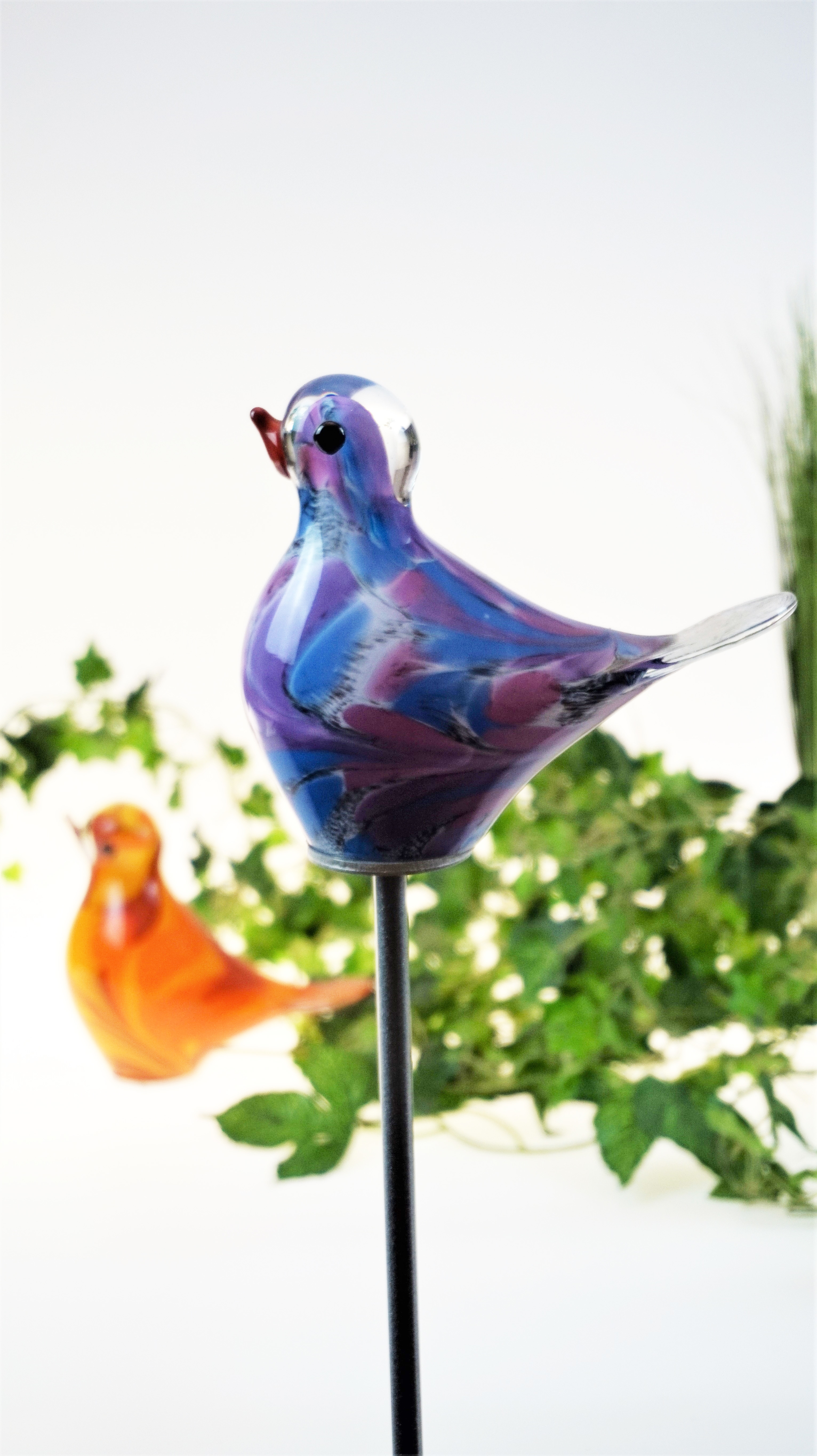 Glasvogel Lila mit Metallstab