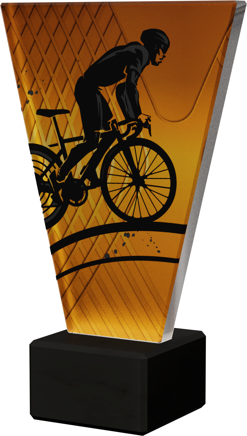 V Line Glasaward-Mountainbike