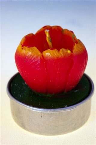 Teelicht Tulpe