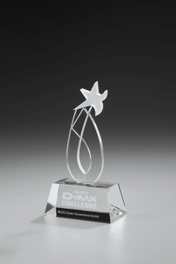 Dynamik Ice Star Award