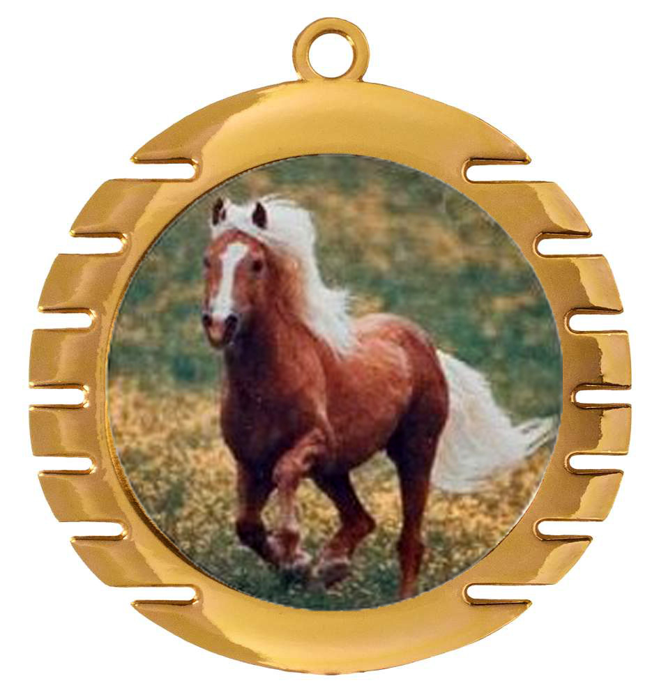 Eisen-Medaille in Gold, Silber, Bronze inklusive Farb-Druck Ø 7 cm